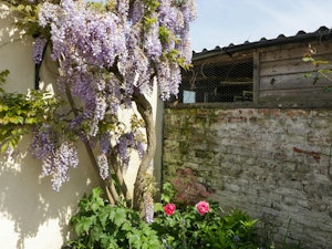 The Cider Barn image 13