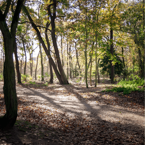 Stay a stone's throw from the Bois de Boulogne's nature trails