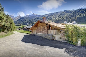 Alpine Light image 2