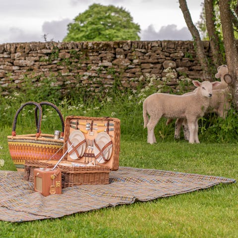 Enjoy a picnic in the field and make friends with some of the neighbours