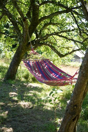 Hen House Hideaway image 12