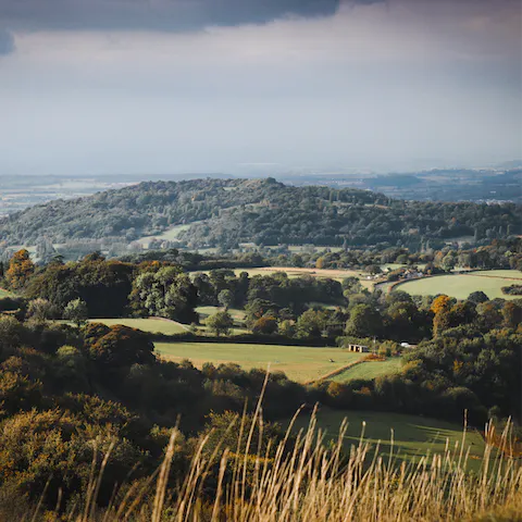 Explore the rolling hills, open fields and quiet woodland of the Cotswolds