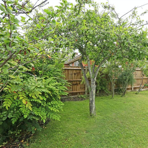 Bring your book out and read in a shady spot in the garden