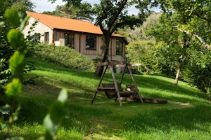 The Oasis House image 12