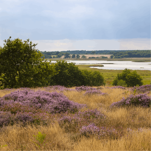 Jump in the car and discover the beauty of the Suffolk Heaths, just a twenty-minute drive away