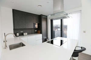 Urban Dove image 13