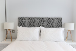 Urban Dove image 12
