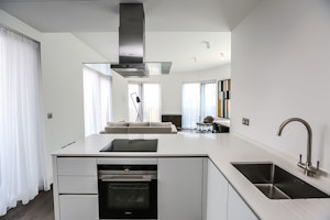Urban Dove image 11