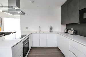 Urban Dove image 7