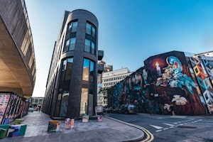 Urban Dove image 2