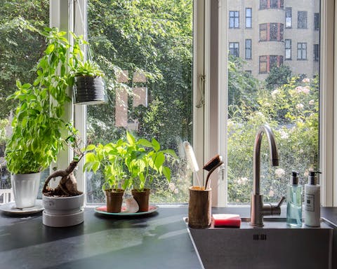 The leafy view from the kitchen window