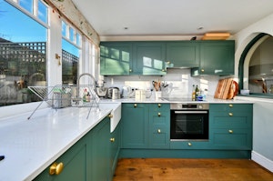 Emerald Ash image 12