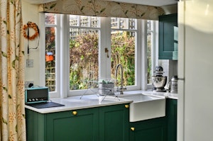 Emerald Ash image 3