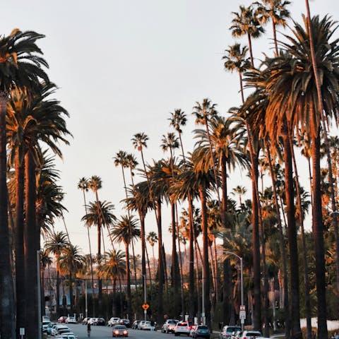 Stay in the heart of Los Angeles, just a fifteen-minute drive away from Beverly Hills 