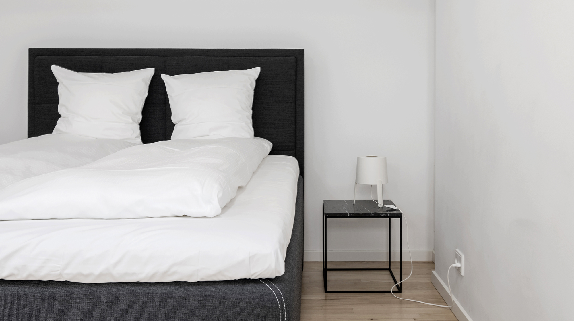 Order of the Elephant