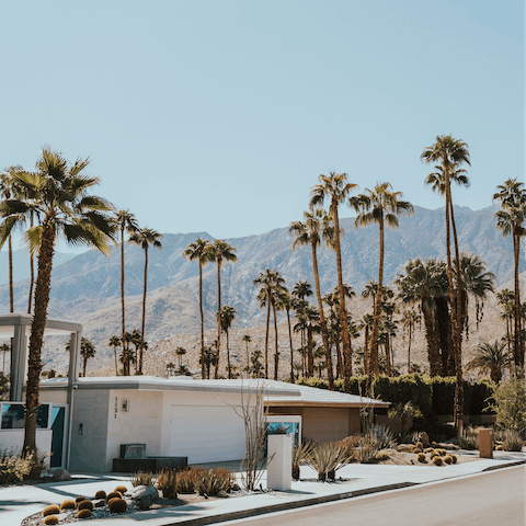 Explore beautiful Palm Springs, with palm-lined streets with dramatic mountain backdrops