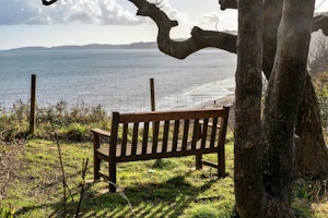 Holcombe Haven image 11