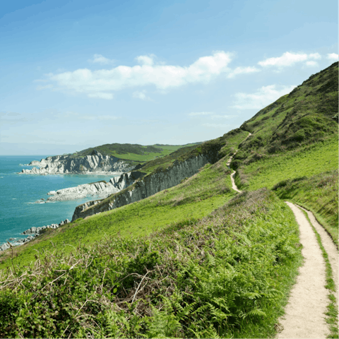Head out to the coast – Sidmouth and Exmouth are just thirty-five minutes away by car