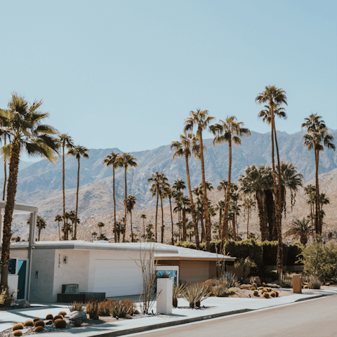 Visit the sought-after destination of Palm Springs, a hedonists paradise