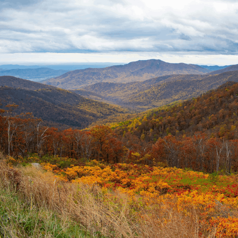 Experience the beauty of the surrounding Shenandoah Valley