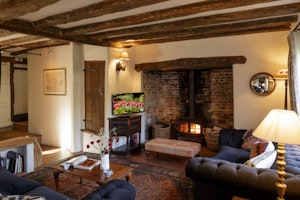 The Old Apple Tree image 9