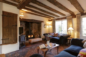 The Old Apple Tree image 1