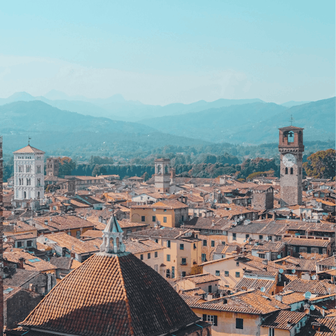 Take some photos of the Guinigi Tower in Lucca, 3 kilometres away