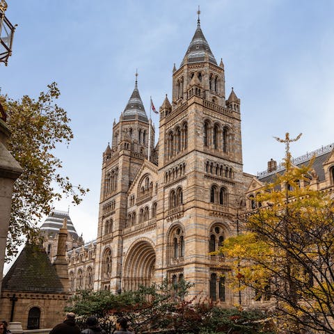 Head out and explore South Kensington's museums – the Natural History Museum is a ten-minute walk away 