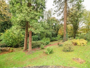 The Chalford Cottage image 7