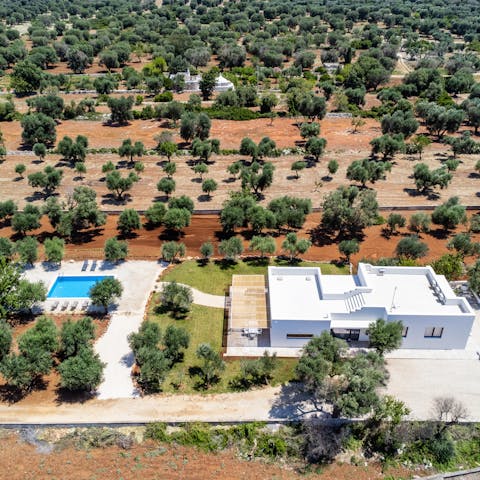 Stay in a contemporary villa in a rural area, surrounded by olive trees