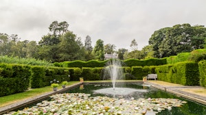 The Garden Glory image 3