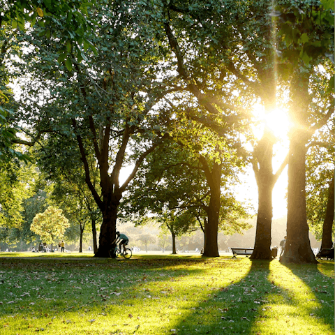 Experience the magic of London while walking through Hyde Park