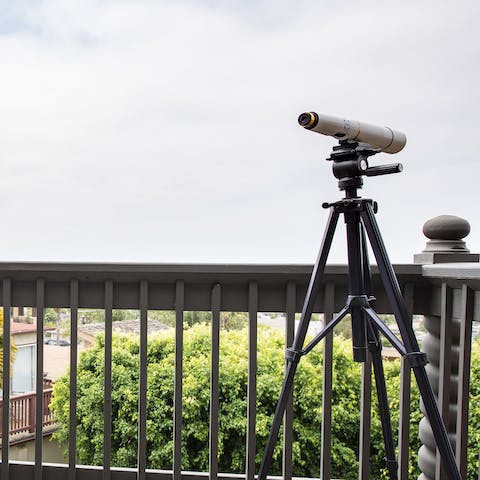 Use the telescope to watch boats on the horizon or stargaze at night