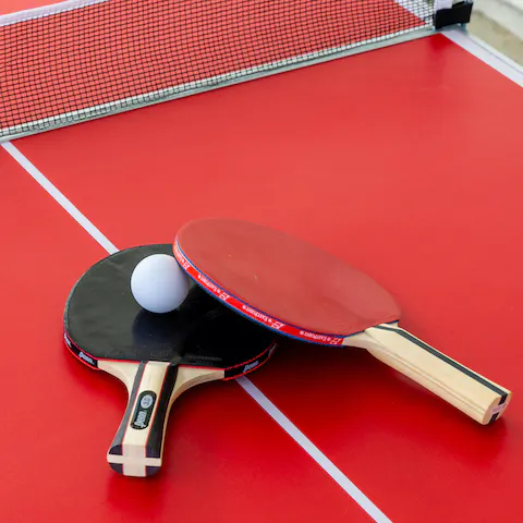 Compete in a friendly table tennis tournament – why not put a wager on it?