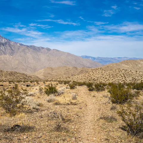Take a drive to the Indian Canyons for a hike in the nature preserve