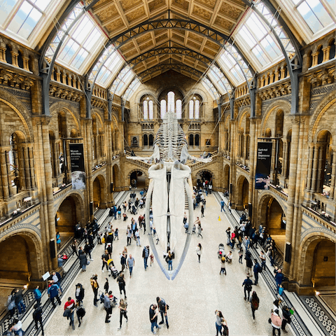 Visit the fascinating museums in Kensington – the Natural History Museum is just over twenty minutes away on the District Line 