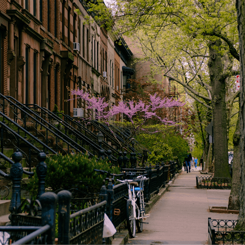 Take a leisurely afternoon stroll along Park Slope's tree-lined streets