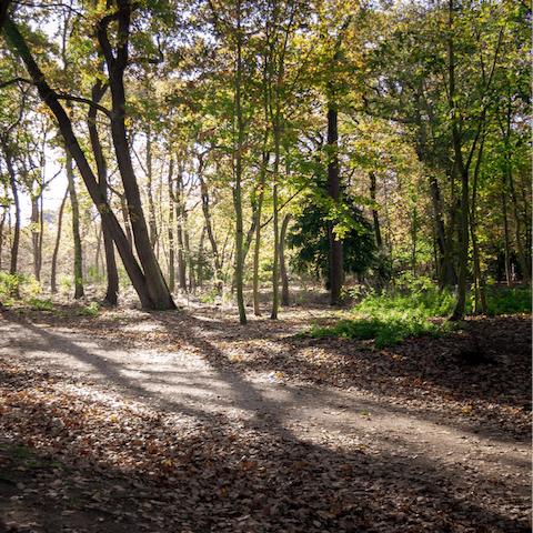 Enjoy peaceful walks in the nearby Bois de Boulogne