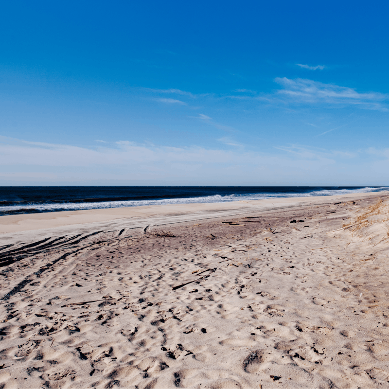Drive six minutes to Long Beach to build sandcastles