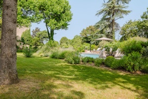 Provence Shadows image 7