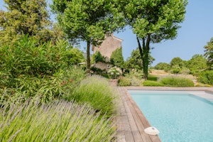 Provence Shadows image 6