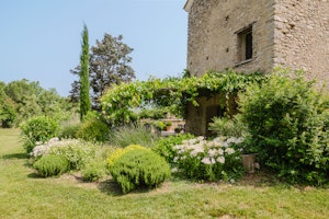 Provence Shadows image 5