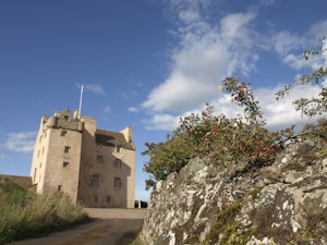 The Crown image 9