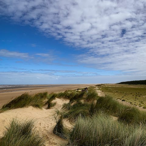 Takes some pictures of the wildlife on Holkham Beach, a ten-minute drive from this home