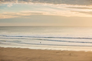Catch A Wave image 13