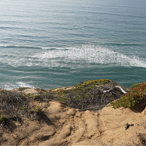 Stay just a seven-minute drive away from Pacific Beach