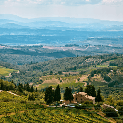 Walk just 1km into Castellina in Chianti 