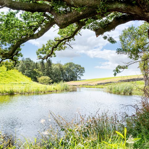 Explore almost 60 acres of grounds and picnic by the lake