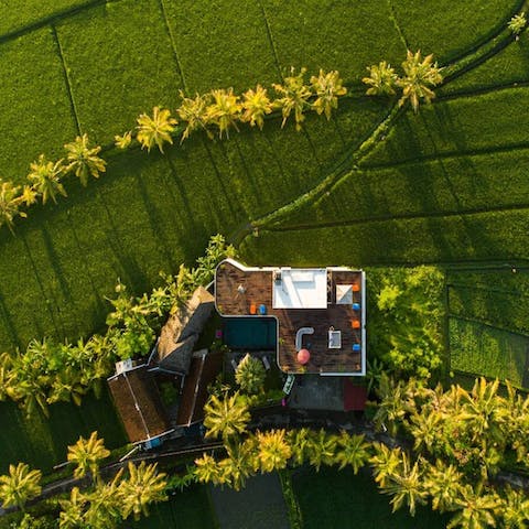 Stay surrounded by lush paddy fields 