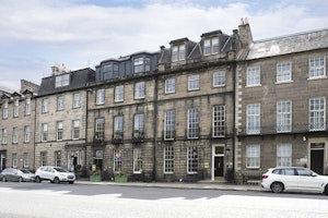Georgian Thistle image 6